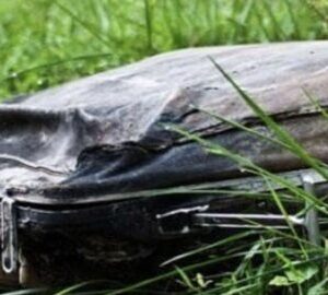 While walking, the girl found an old bag. The bag was closed and he decided to open it