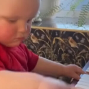 Breathtaking Skills: Russian Toddler Masters the Piano at 18 Months Old