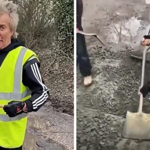 Rod Stewart personally fixes road potholes because he believes nobody else is willing to take on the task