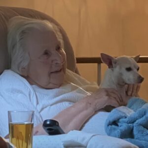 101-year-old woman adopts unwanted 11-year-old toothless chihuahua, brought ‘joy’ to the house