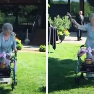 Bride Brings Joy by Inviting Her 92-Year-Old Grandma to Serve as the Unconventional Flower Girl