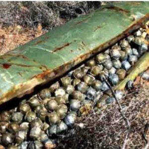 Farmer discovers military equipment on his property. When he discovers who it belongs to, his jaw drops…