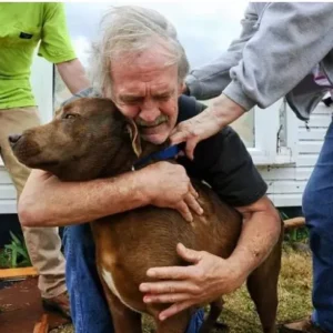 The old man saved his only friend, a dog, by spending all the money he had accumulated over the years.