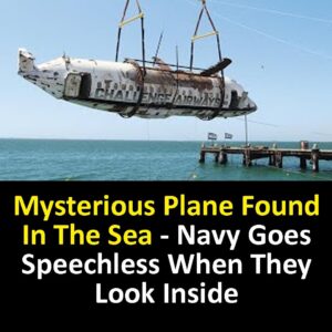 Mysterious Plane Found In The Sea – Navy Goes Speechless When They Look Inside