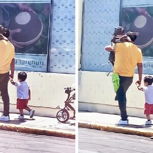 Father praised for choosing to carry his large dog instead his small son