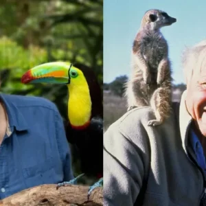 SIR DAVID ATTENBOROUGH’S TRAGIC STRUGGLE