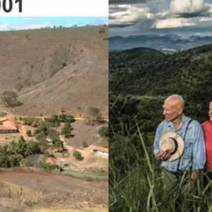 Couple replanted a whole land that suffered from deforestation and now it looks like a tropical paradise.