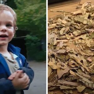 A toddler accidentally tears apart over 00 in cash that his parents had set aside to settle a debt