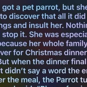 A womann got a pet parrot…