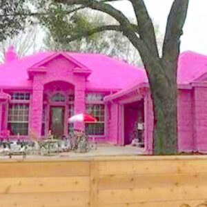 Man creates his dream home and upsets neighbors after painting it Pepto-Bismol pink