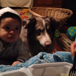 Mom tries to get baby to say ‘mama’ only dog hilariously says it first