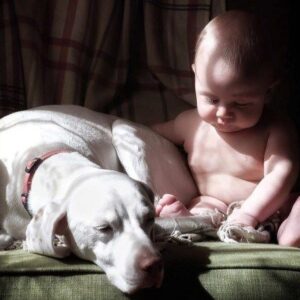 Abused dog is terrified of everything except for this baby, so Mom grabs her camera