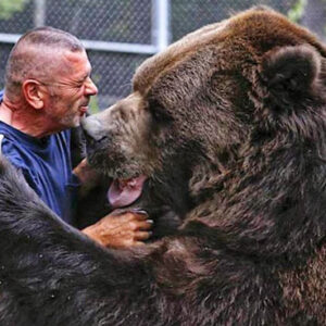 Rescued Bear Cub and Man Form Unbreakable Bond