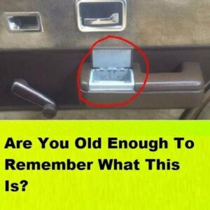 Are You Old Enough To Remember What This Is?