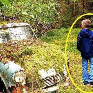 Boy Finds Abandoned Car in Forest, Notices Old Locked Box Inside When He Opened It, He Discovered The Unthinkable