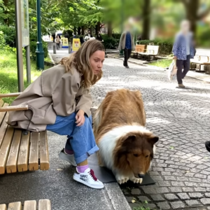 Man Spends Thousands Of Dollars To “Become” Border Collie, Goes For Walk In Public