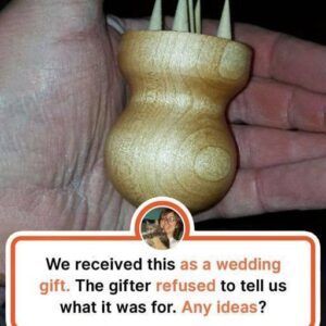 NINE OBJECTS WHICH REDDITORS COULDN’T UNDERSTAND THEIR PURPOSE, AND SHARED TO LEARN