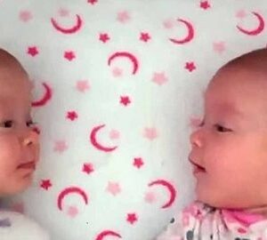 Identical twins see each other for the first time, and have an adorable conversation