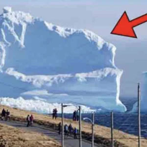 Iceberg Floats Near The Local Village. When People See What’s On It, They Get Scared