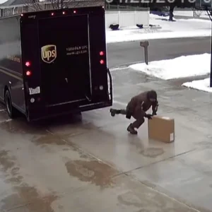 UPS driver uses hilariously clever method to deliver package on icy driveway