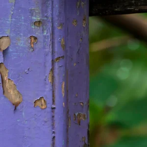 If You See a Painted Purple Fence, This Is What It Means