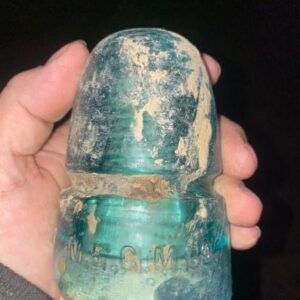 “I found this, and I consider myself lucky. Who knows what it is?”
