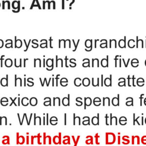 I Took My Grandchildren to Disney World and Now My Dil Is Mad at Me