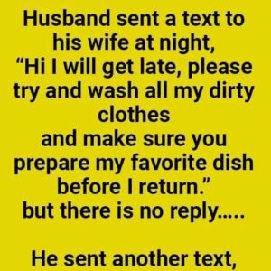 Smart Husband – NEW JOKE