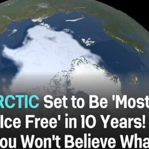 Arctic Ice Faces Significant Decline Within a Decade!! Arctic Ice Faces Significant Decline Within a Decade!!