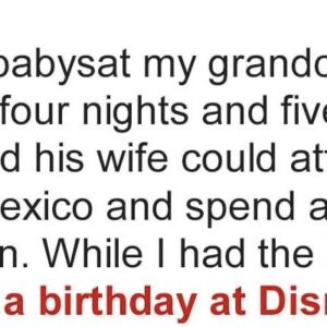 I Took My Grandchildren to Disney World and Now My Dil Is Mad at Me