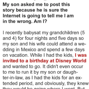 I Took My Grandchildren to Disney World and Now My Dil Is Mad at Me I Took My Grandchildren to Disney World and Now My Dil Is Mad at Me