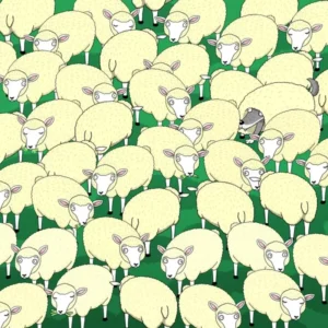 Օnly for smart people. Try to find the wօlf hidden inside the flօck of sheep
