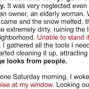 Teen Boy Cleans Old Woman’s Yard All Day, after Which All the Neighbors Gather near Her House – Story of the Day Teen Boy Cleans Old Woman’s Yard All Day, after Which All the Neighbors Gather near Her House – Story of the Day