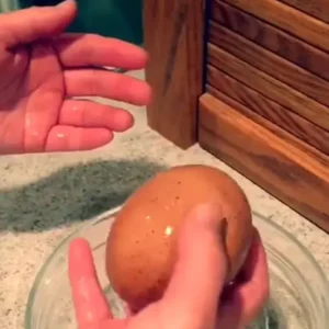 “A Farmer Found A Large Egg Under A Hen”: What Hatched From The Egg Shocked Everyone! “A Farmer Found A Large Egg Under A Hen”: What Hatched From The Egg Shocked Everyone!