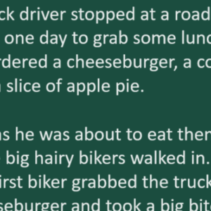 Funny – A Truck Driver at..