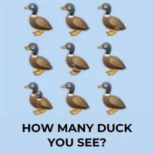 What is the number of ducks in the image? The explanation of the internet’s trending viral challenge