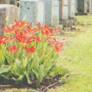 20 years after newborn daughter’s death, man hears, ‘Dad, I finally found you’