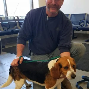 A Dog Is Rescued From Euthanization And Can’t Hold Back His Happiness A Dog Is Rescued From Euthanization And Can’t Hold Back His Happiness