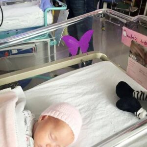 If you see a purple butterfly sticker near a newborn, you need to know what it means If you see a purple butterfly sticker near a newborn, you need to know what it means