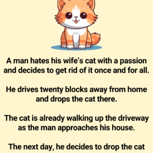 A Man Hates His Wife’s Cat And Decides To Get Rid Of It Once And For All A Man Hates His Wife’s Cat And Decides To Get Rid Of It Once And For All