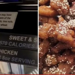 Chinese Restaurant Is In Big Trouble After We Found Out Where Their Chicken Is From