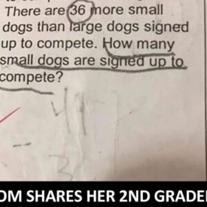 No one can figure out what the answer really is for this tricky problem