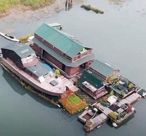 Man Builds Completely Self-Sustaining Island Homestead With Salvaged Materials