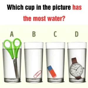 Which of the glasses contains the largest amount of water?