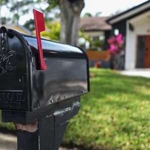 Keeping Wasps Away from Mailboxes: A Simple Solution