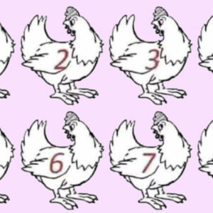 ARE YOU A GENIUS? NO ONE CAN FIGURE OUT WHICH CHICKEN IS DIFFERENT.