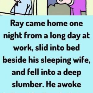 Ray came home one night