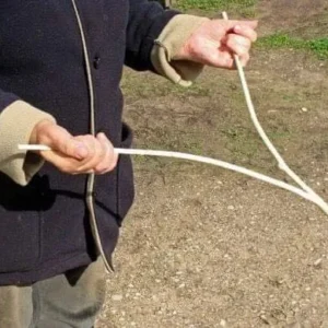 Uncovering the Mysteries of Water Dowsing