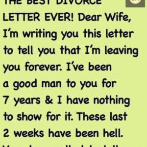 Wife receives a divorce letter from husband, her reply is brilliant