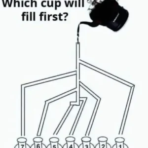 Can you guess which cup will fill up first?